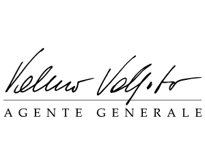 rocking-motion-logo-volpato